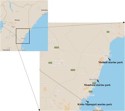 Cross-Sectional Variations in Structure and Function of Coral Reef Microbiome With Local Anthropogenic Impacts on the Kenyan Coast of the Indian Ocean